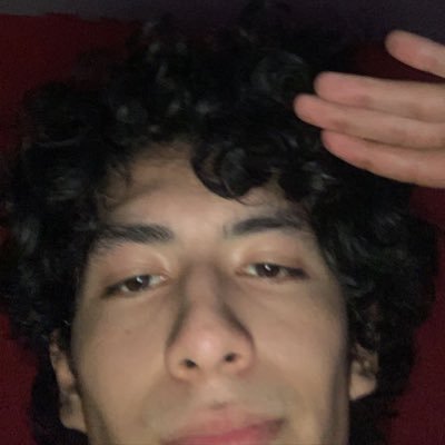 Sebastian_SQ10's profile picture. -Discord: M2D0ll#8887