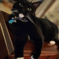 trj53 USA (@trj531) 's Twitter Profile