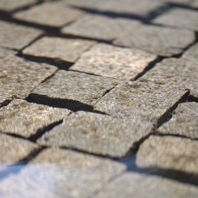 nateferguson's profile picture. Sr. Staff Game Designer @PlayStation's @BendStudio | Opinions are mine, not SIE's       https://t.co/4wVVTn8Edb