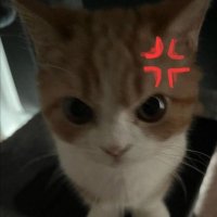 ⋆ (@nxcll8) 's Twitter Profile