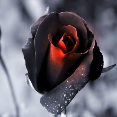 Shahtan's profile picture. PFP & banner © to their respective owners. J-fashion/goth/alt. Gothic Deity, aspiring cosplayer. Video games. Cancer survivor. Floating on the waters of v-kei