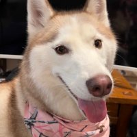 Jennifer Scott (@jen_themom) 's Twitter Profile