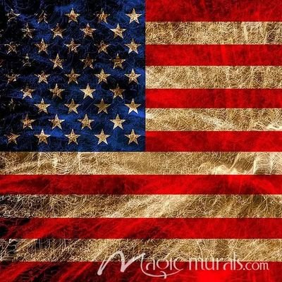 TanksterUSA's profile picture. 