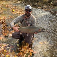 Roger (@stlhdslayer83) 's Twitter Profile Photo Roger (@stlhdslayer83) 's Twitter Profile Photo