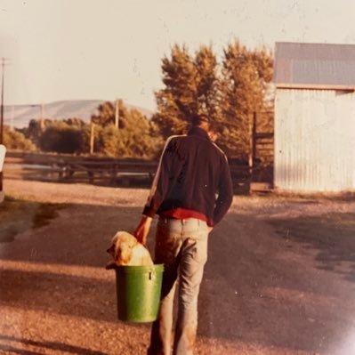 Ron Jarmin Profile