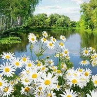 Tuncay Komsuoğlu (@komsuoglutuncay) 's Twitter Profile