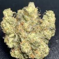MAGA4WEED (@fukpaulycoin) 's Twitter Profile