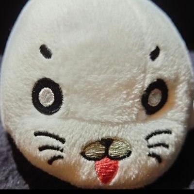 KUROKUR69311760's profile picture. 山を1人で⛰のんびり走るのが🚵好きな資産運用〜築古大家
⚠双方フォローの方でも絡みや、いいねも無い方！人の同行だけを見たい方はフォロー解除させてもらう場合もあります⚠引用ツイートやリツイートなどを利用して批判してくるような方は、こちらが面倒くさい人と判断した場合は双方フォローでも発見次第!容赦なく即ブロックします！〆