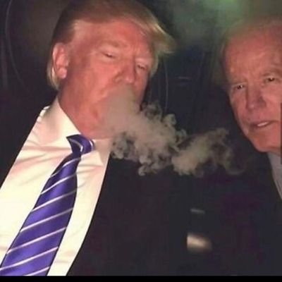 weamydeitiesat's profile picture. learn thyne Nyoko dialect, teach the Children