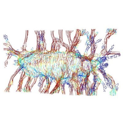 UCSF Musculoskeletal Center nucleates musculoskeletal research, education, and advocacy to connect investigators to @UCSF pioneers across the research spectrum.