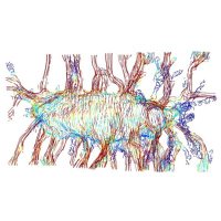 UCSF Musculoskeletal Center (@ucsfmskcenter) 's Twitter Profile