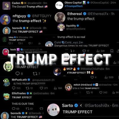 trump_effectCTO's profile picture. BUILDING ONE OF THE STRONGEST CULTS #TRUMPEFFECT ELON SHILL US AND SHOW THE WORLD THAT THE TRUMP EFFECT IS REAL