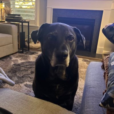 savamgrl's profile picture. 