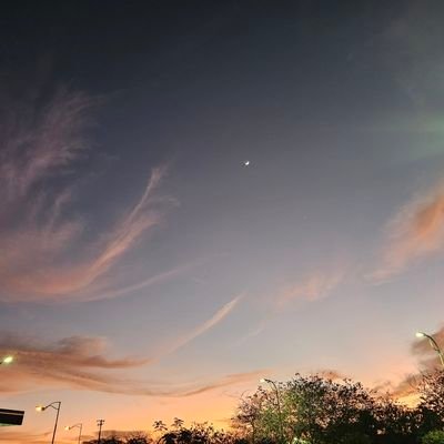 __diegolo's profile picture. 