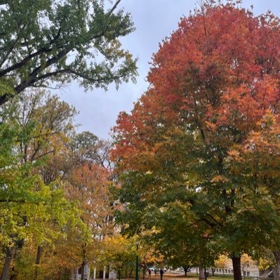 GauriYadavv's profile picture. smile more :)