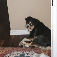 Julie Osibin (@julielosibin) 's Twitter Profile