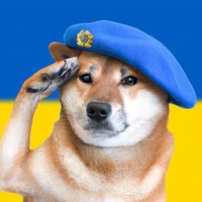 🛰️ NAFO operative | 🕊️ Contra la desinformación | 🇺🇦 #StandWithUkraine | No hay neutralidad frente a la agresión.
