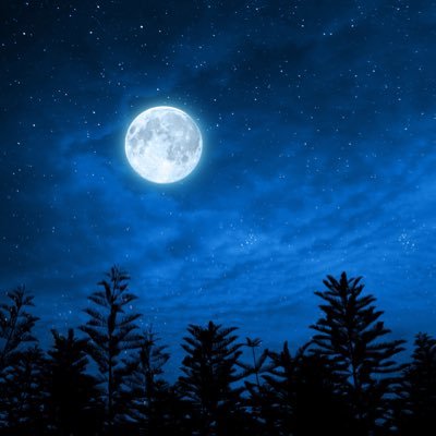 mentalhacking's profile picture. 🧠