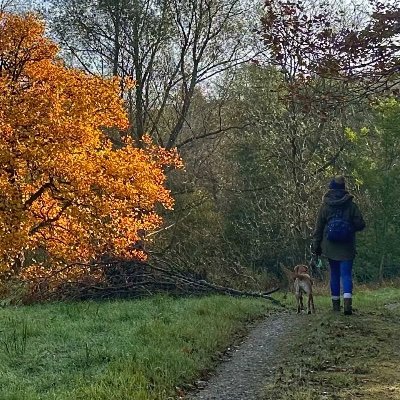 Lover of rural life, my dogs, gardening, home cooking and my piano.