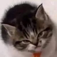 Melanie is Not Angry, She is Disappointed (@faewrai) 's Twitter Profile