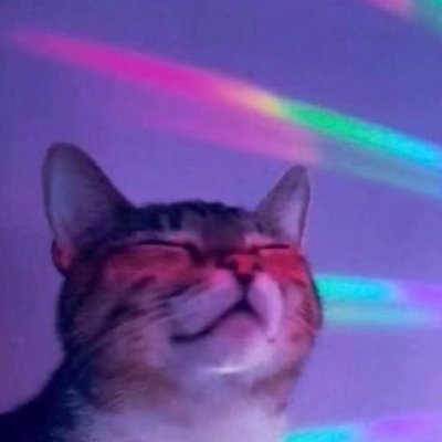 #ActuallyAutistic music and fighting game enthusiast. They/them. 🏳️🌈
Likes/RTs ≠ endorsements. 🔞Minors DNI.
Blocks for bad vibes and willful ignorance.