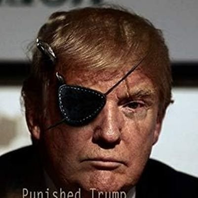 PunishedTrump17's profile picture. 5K followers on ifunny under same name. 

Christ is King. 
Heaven is achievable here and now.