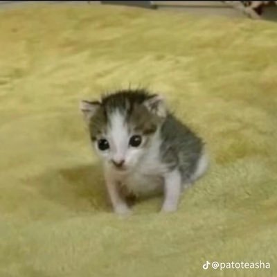 we can dance in this moon night again
https://t.co/nwLJyFEhPI