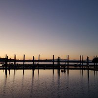 broncos12345 (@saveusall2024) 's Twitter Profile