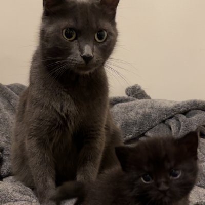 Winterbtwx's profile picture. 