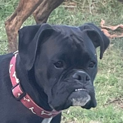 tailgrease's profile picture. 