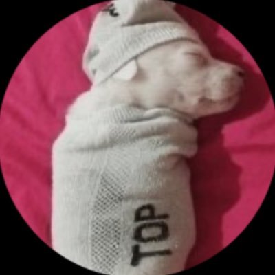 mariawanera's profile picture. sol en géminis mercurio en géminis venus en géminis 💋