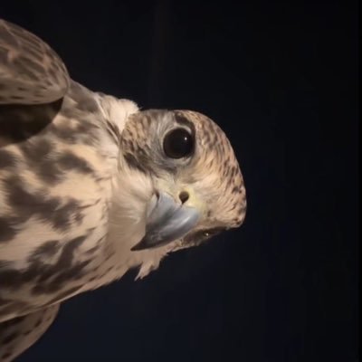 h1425y's profile picture. (قُل يَاعبَادي الَّذِينَ أسرَفُوا على أنفُسِهم لا تَقنطوا مِن رَحمةِ اللَّه إنَّ اللَّه يَغفِرالذّنُوبَ جمِيعاً إنهُ هو الغَفُور الرَّحيمُ)