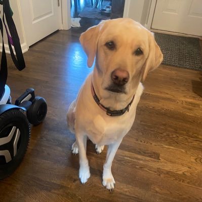 delongsellsga's profile picture. 