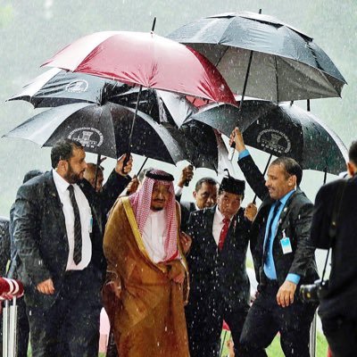 aalsulaiman96's profile picture. 