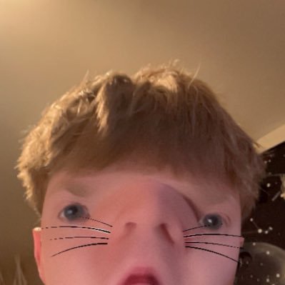 _bhoff3's profile picture. New twitter #tammy