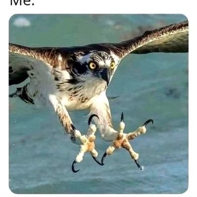 TheRealMe_youC's profile picture. 