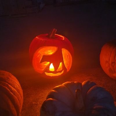 doggwess's profile picture. Today's the day!