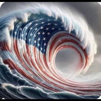 GingerEllisMil1's profile picture. 🌵Ultra MAGA AZ patriot #MAGA #2A 🇺🇸#freedom