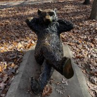Yoni (@yonithegr8) 's Twitter Profile