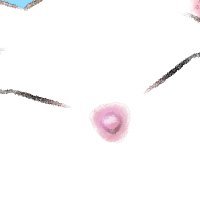 Neさんのプロフィール画像