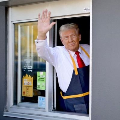 DogTunt's profile picture. 