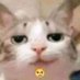 CristianGS18 (@cristia30126211) Twitter profile photo CristianGS18 (@cristia30126211) Twitter profile photo