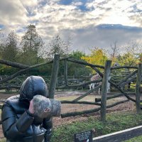 SHK (@shktrck) 's Twitter Profile