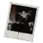 veilofseraphs's profile image