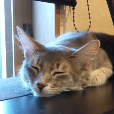 iTozQETrJ8pp21P's profile picture. 配信者様のフォローがメインです
いつかのデビューに向けて勉強中です
イケボでイケメンです
よろしくお願いします