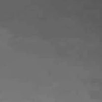 xoss2543's profile picture. dumplings