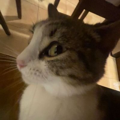 Nani_la_jajasさんのプロフィール画像