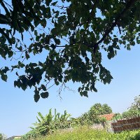 Sanjally Drammeh (@sanjallyd78815) 's Twitter Profile