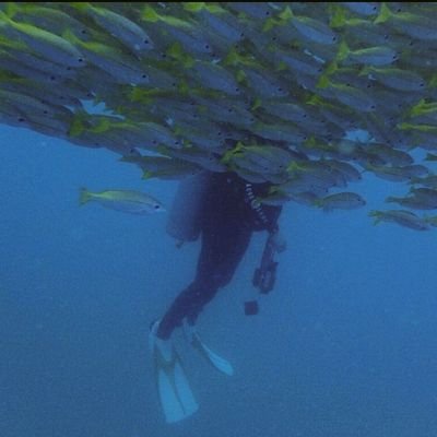 anmin5656's profile picture. 読み方はれいとうまぐろ。いわゆる◯◯垢ではなく話題は諸種。壁打ち運用にて過剰苛烈な独り言とリポスト。成人。いろんなものを好みいろんなものを嫌悪。口は悪いし頭も悪い。動物飼ってません。無言フォロー失礼いたします。