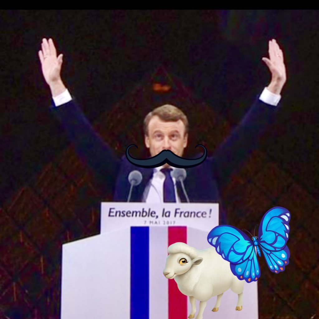 toutehontebue's profile picture. jouons avec eux